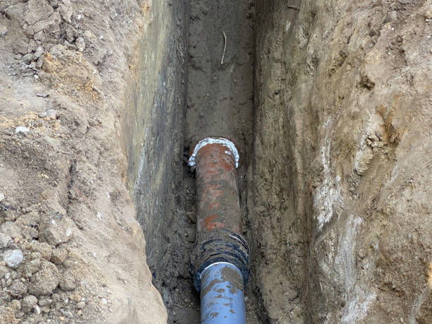 Best Flood restoration services  in Dilworth, MN