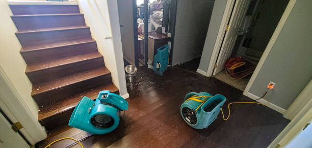 Best Ceiling water damage repair  in Dilworth, MN