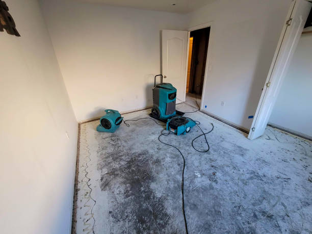 Best Carpet water damage restoration  in Dilworth, MN