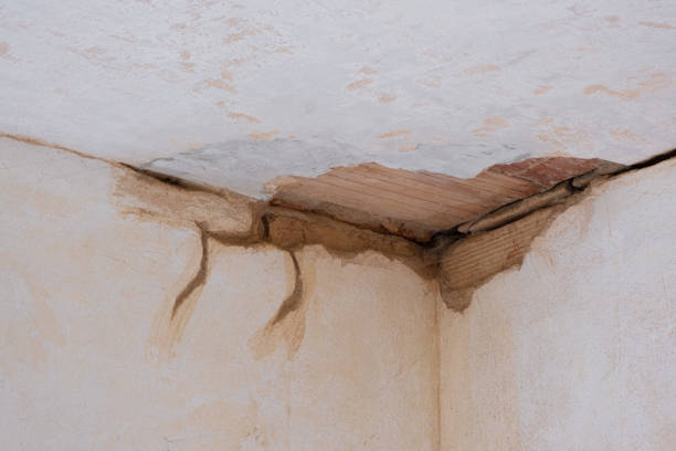 Best Water damage restoration near me  in Dilworth, MN