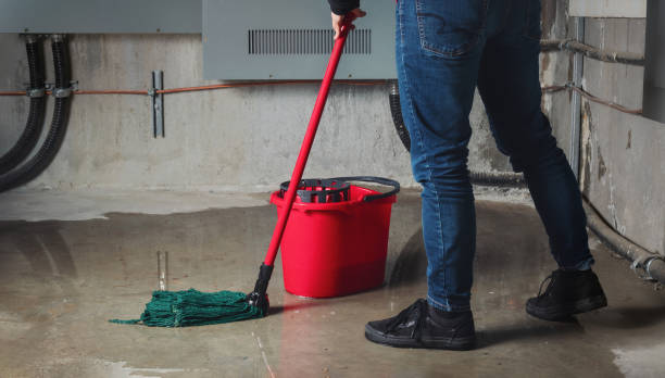 Best Local water damage restoration  in Dilworth, MN