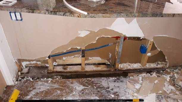 Best Mold removal after water damage  in Dilworth, MN