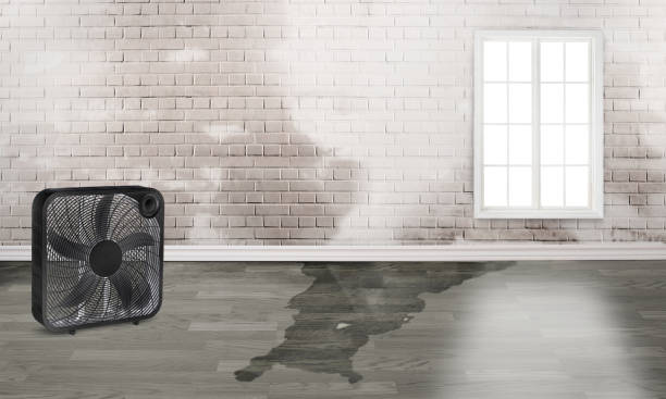 Best Commercial water damage restoration  in Dilworth, MN