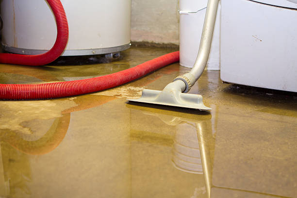 Best Water damage restoration experts  in Dilworth, MN