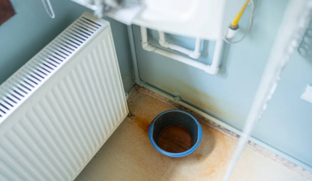 Best Sewage cleanup and water damage restoration  in Dilworth, MN
